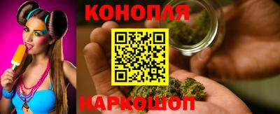 мяу мяу мука Кингисепп