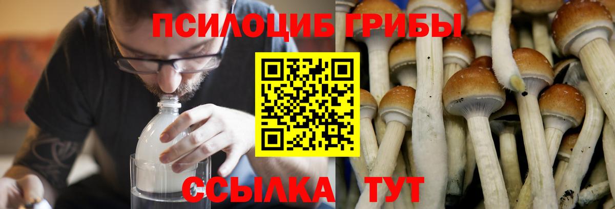 Галлюциногенные грибы мухоморы  Вход с VPN  Корсаков 